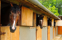 free Ugglebarnby stable construction quotes